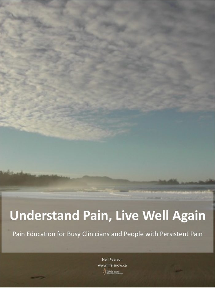 Understand pain ebook